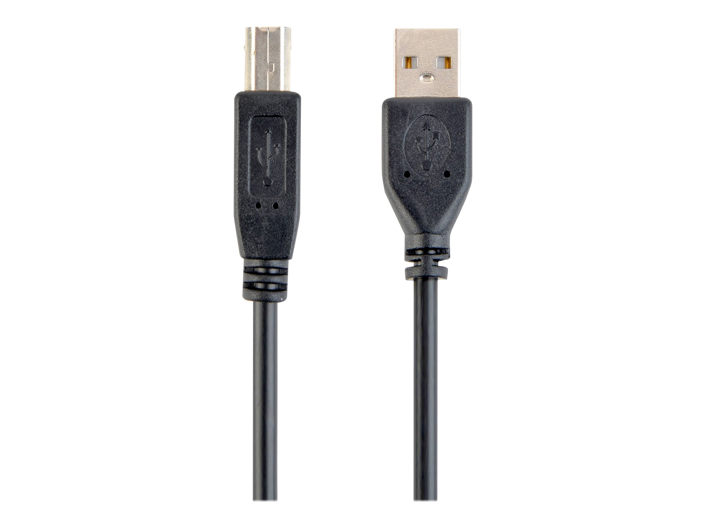 Gembird CCP-USB2-AMBM-15 - USB-Kabel - USB Typ B (M)