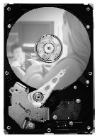 Seagate DB35 Series DB35 7200.3 250GB SATA 3Gb/s internal hard drive 7200 RPM 8 MB 3.5 Serial ATA II