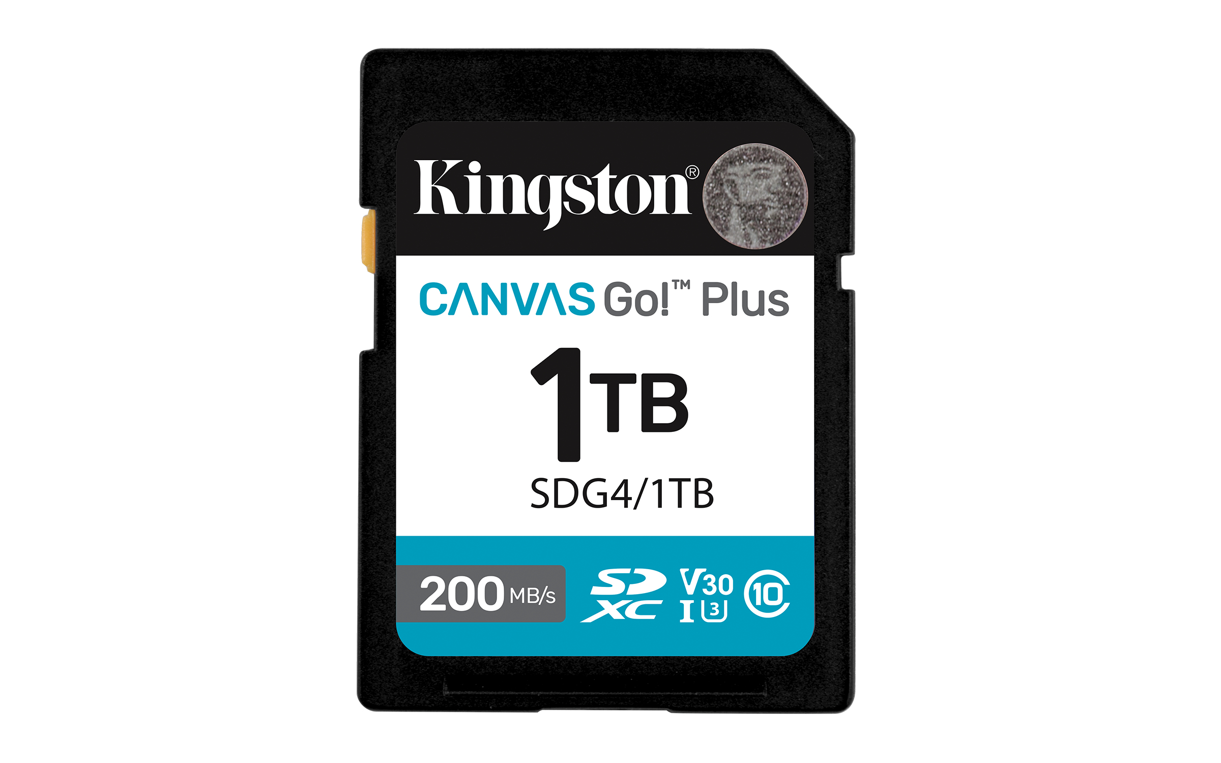 Kingston Canvas Go! Plus - Flash-Speicherkarte