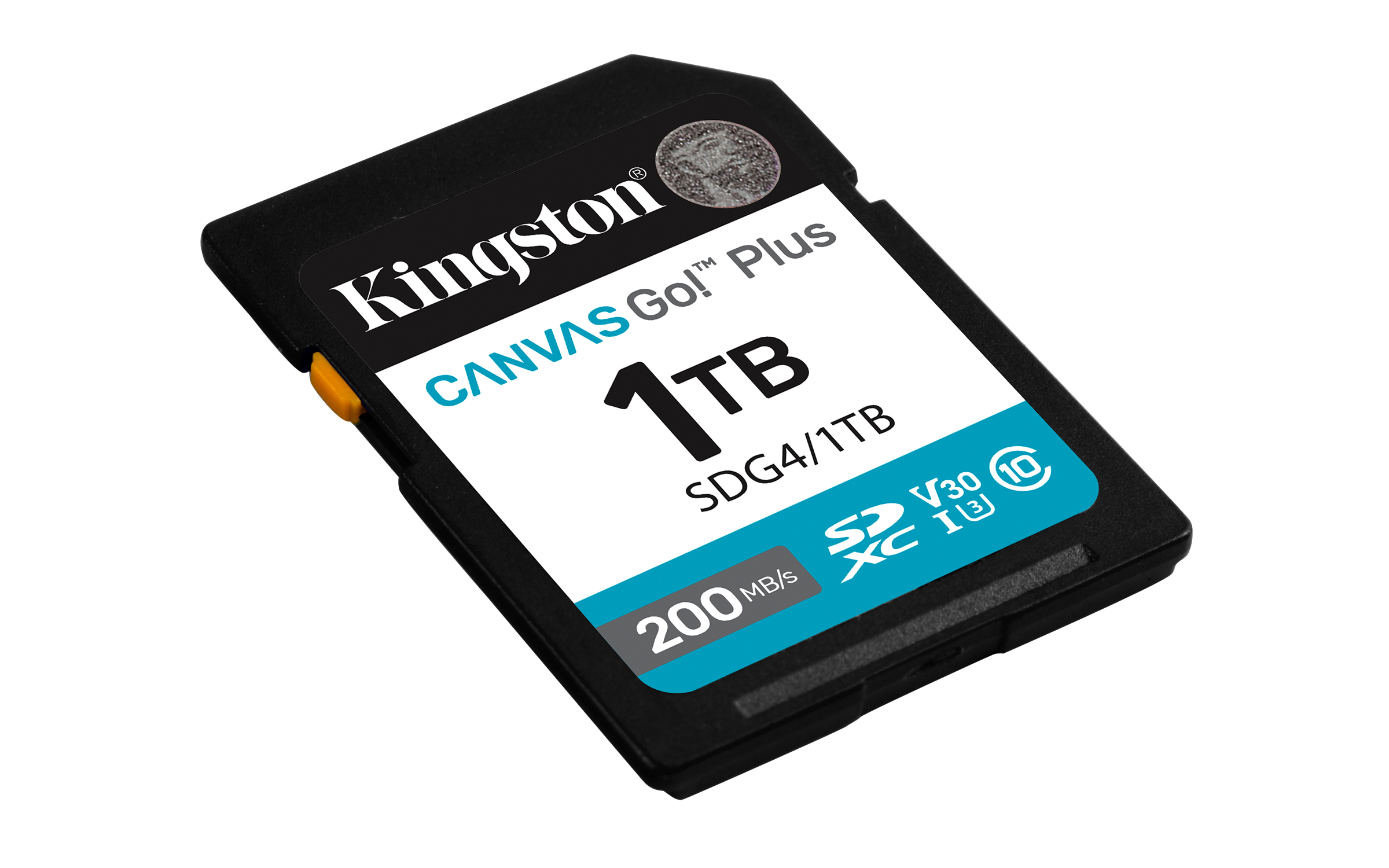 Kingston Canvas Go! Plus - Flash-Speicherkarte