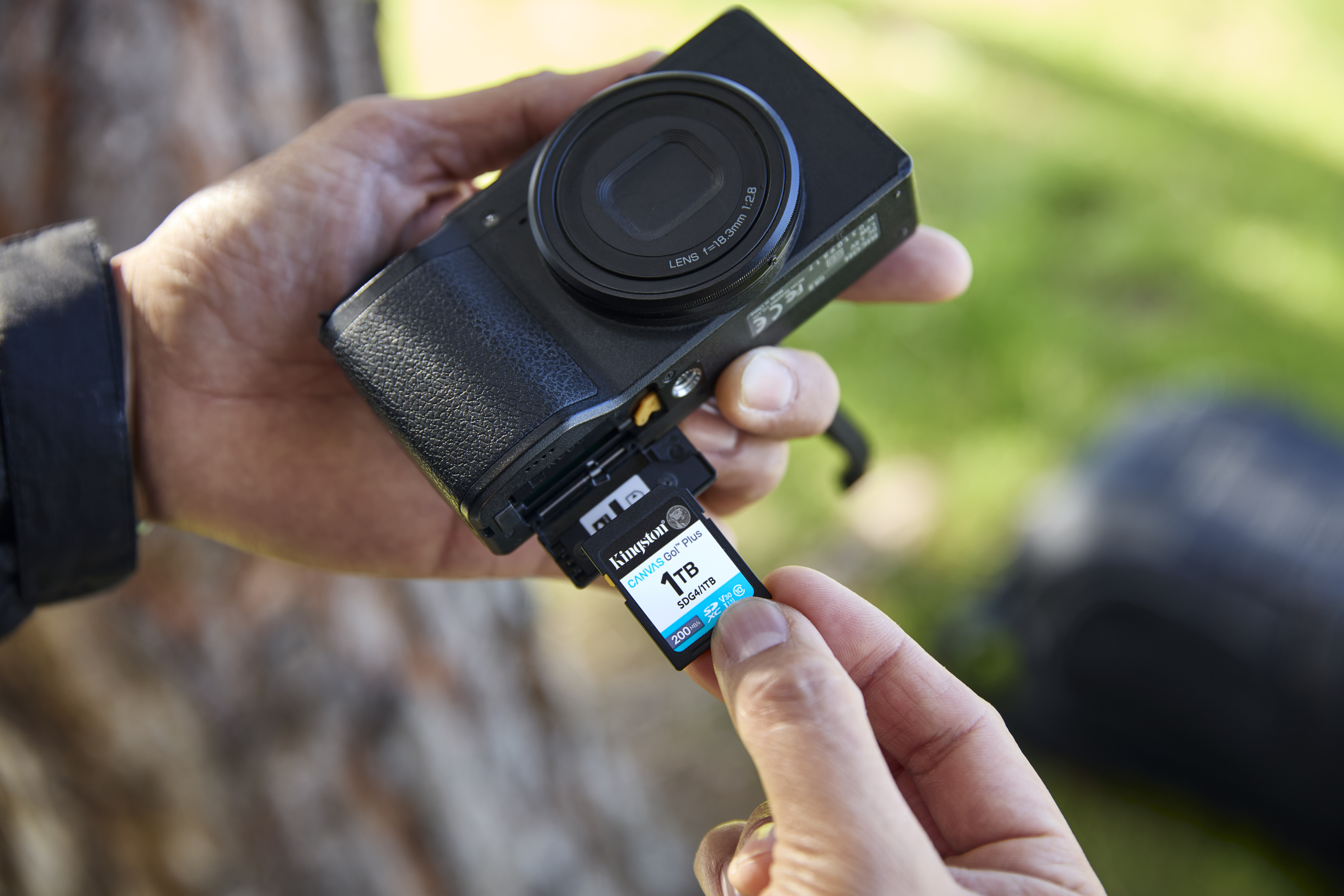 Kingston Canvas Go! Plus - Flash-Speicherkarte