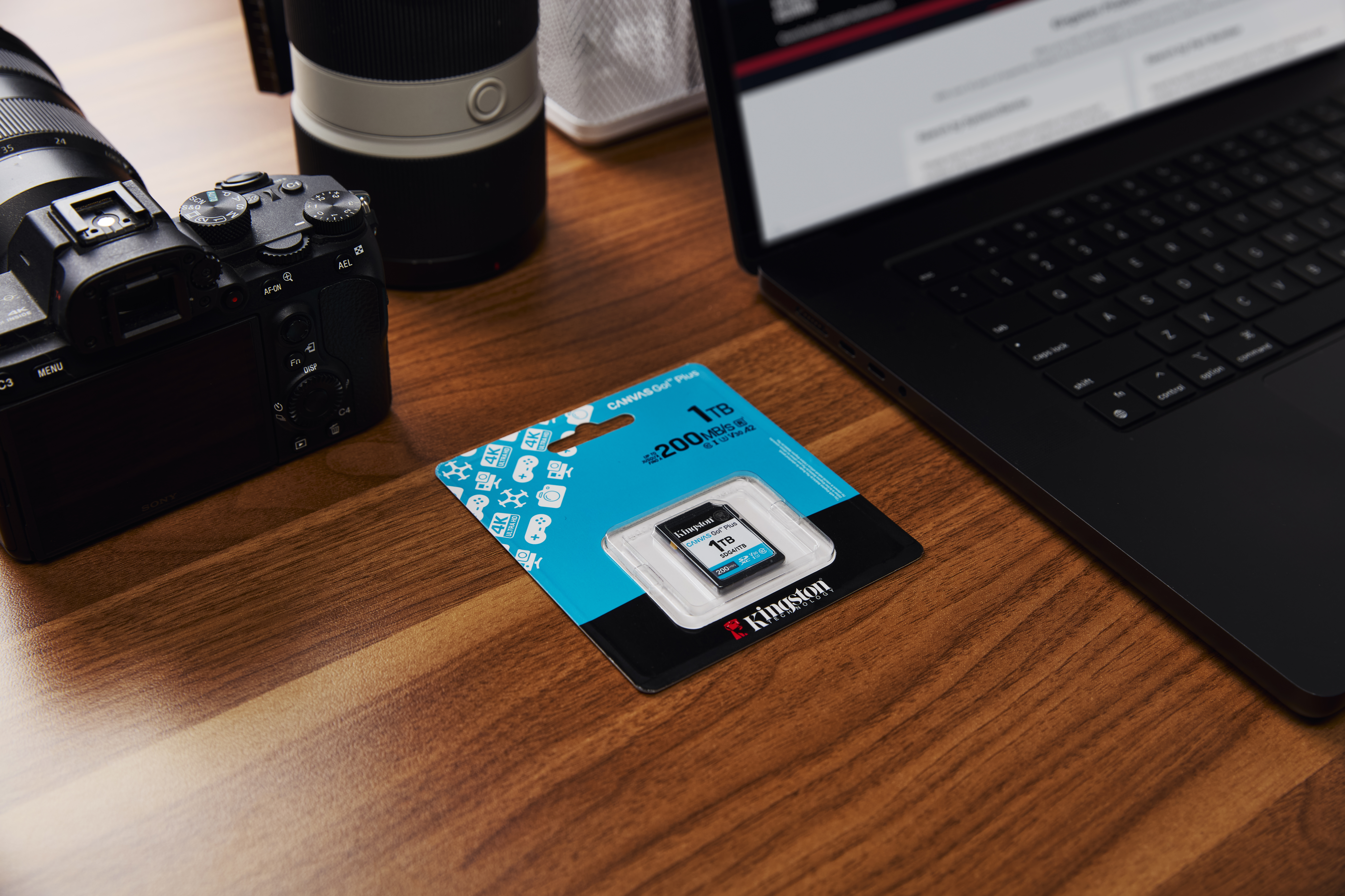 Kingston Canvas Go! Plus - Flash-Speicherkarte