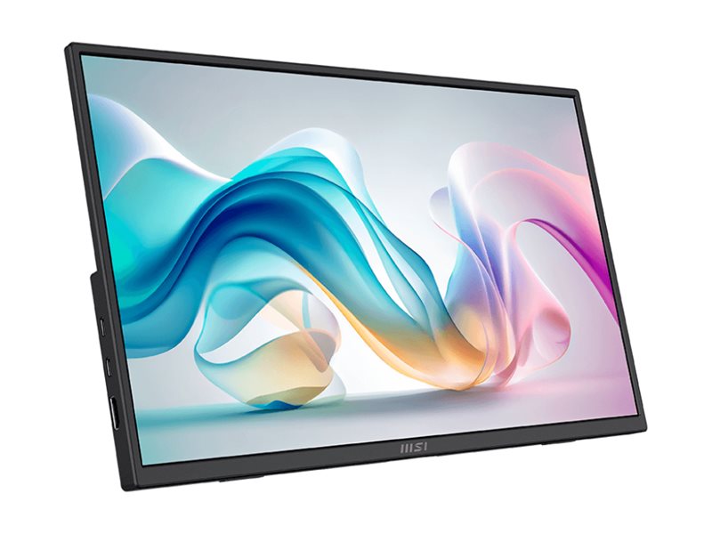MSI PRO MP165 E6 portable TV/monitor Portable monitor Black 39.6 cm (15.6) LED 1920 x 1080 pixels