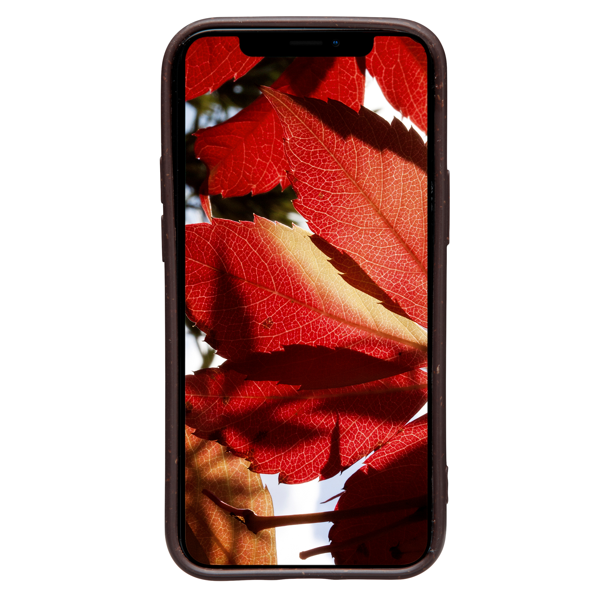 dbramante1928 Barcelona - iPhone 12/12 Pro 6.1 - Dark Chocolate