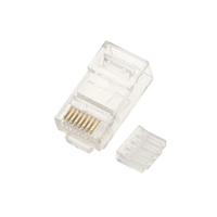 Extralink CAT6 UTP RJ45| RJ45-Stecker| 8P8C
