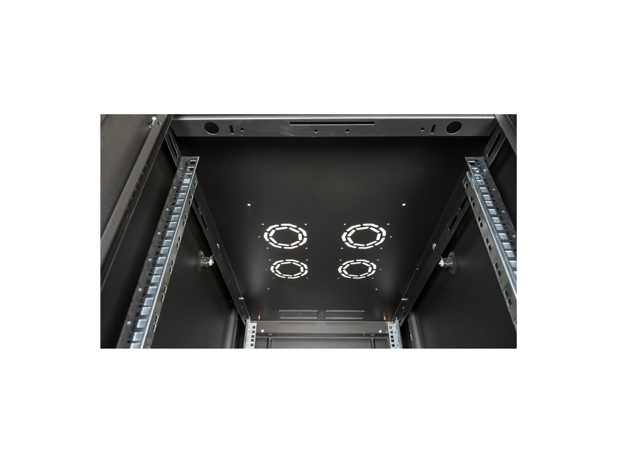 ROLINE Basic - Schrank Netzwerkschrank - Glas T�r, 600x1000 WxD - RAL 9005, Jet Black - 42HE - 48.3 cm (19)