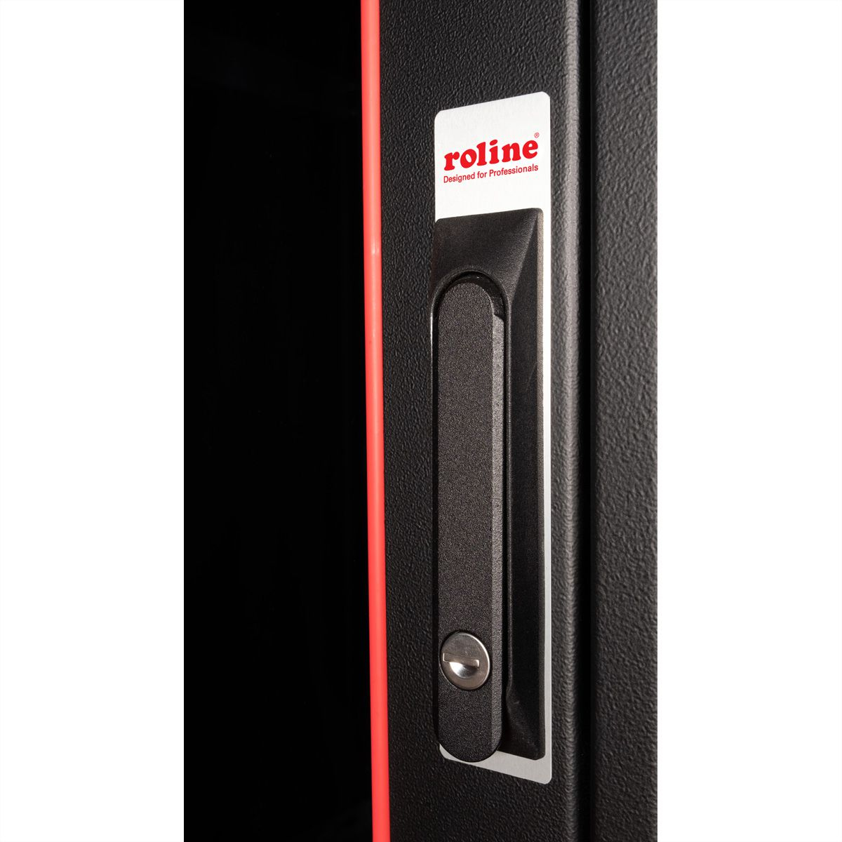 ROLINE Basic - Schrank Netzwerkschrank - Glas T�r, 600x1000 WxD - RAL 9005, Jet Black - 42HE - 48.3 cm (19)