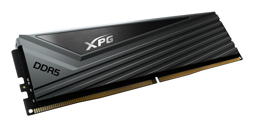 ADATA DIMM 32 GB DDR5-6400 2x 16 Dual-Kit grau AX5U6400C3216G-DCCAGY XPG Caster