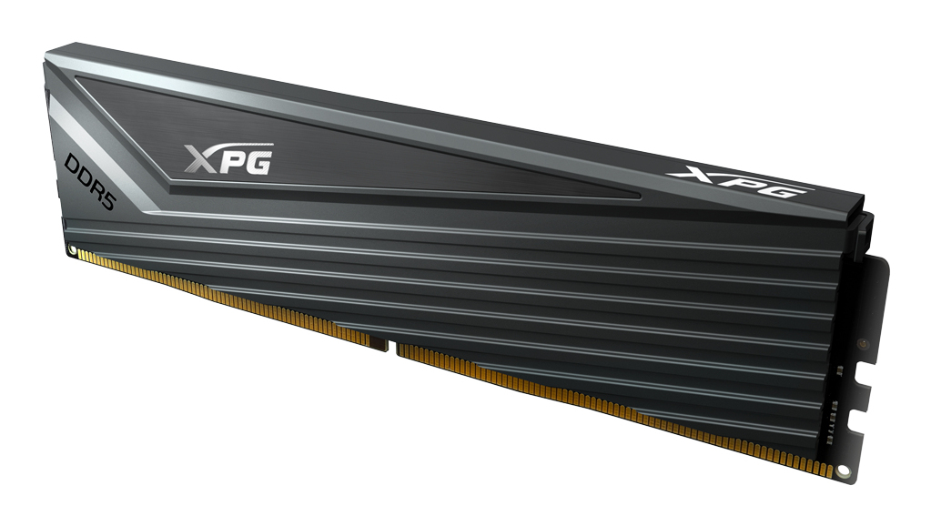 ADATA DIMM 32 GB DDR5-6400 2x 16 Dual-Kit grau AX5U6400C3216G-DCCAGY XPG Caster