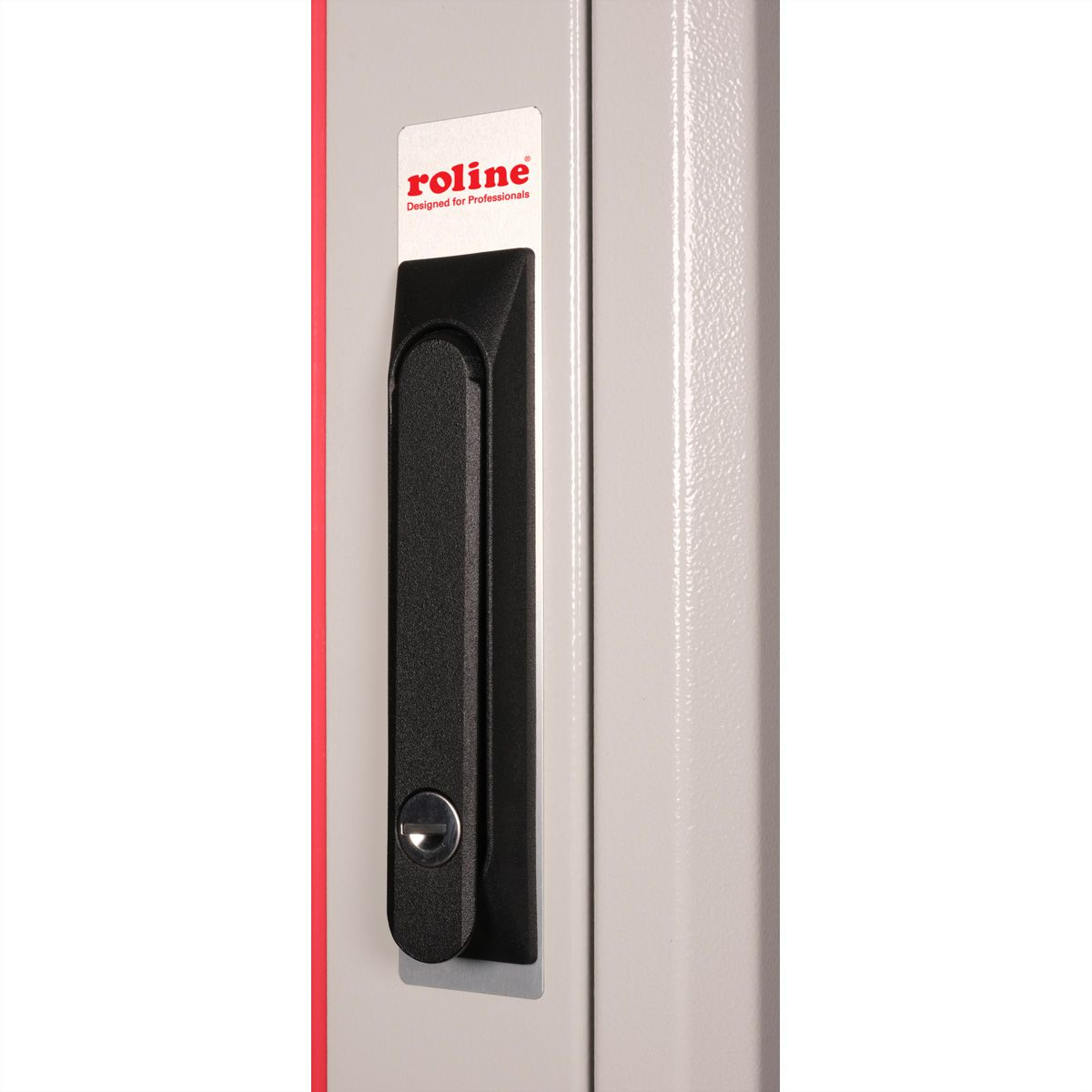 ROLINE Pro - Schrank Netzwerkschrank - mit Glast�r, 600 x 800 mm (B x T)