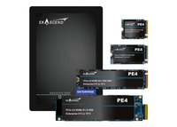 Exascend EXPE4M3840GB PE4 NVMe PCIe Gen4x4 M.2 2280 SSD - Mammoth 2