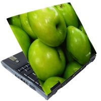 BoostID Laptop Enclosure Apple - Grn - 15.4 laptop