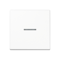 JUNG A101KO5WW - Kunststoff - Schraubenlos - 1 St�ck(e)