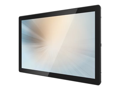 MicroTouch Open Frame Series OF-195P-B2 - LCD-Monitor - 49.5 cm (19.5)