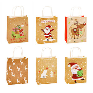 TSI 12 Geschenktaschen Weihnachten Serie 1.6 Motiv sortiert 18.0 x 23.0