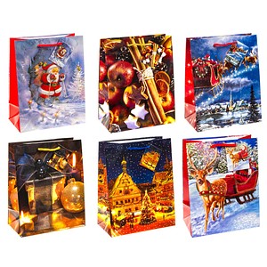 TSI 12 Geschenktaschen Motiv