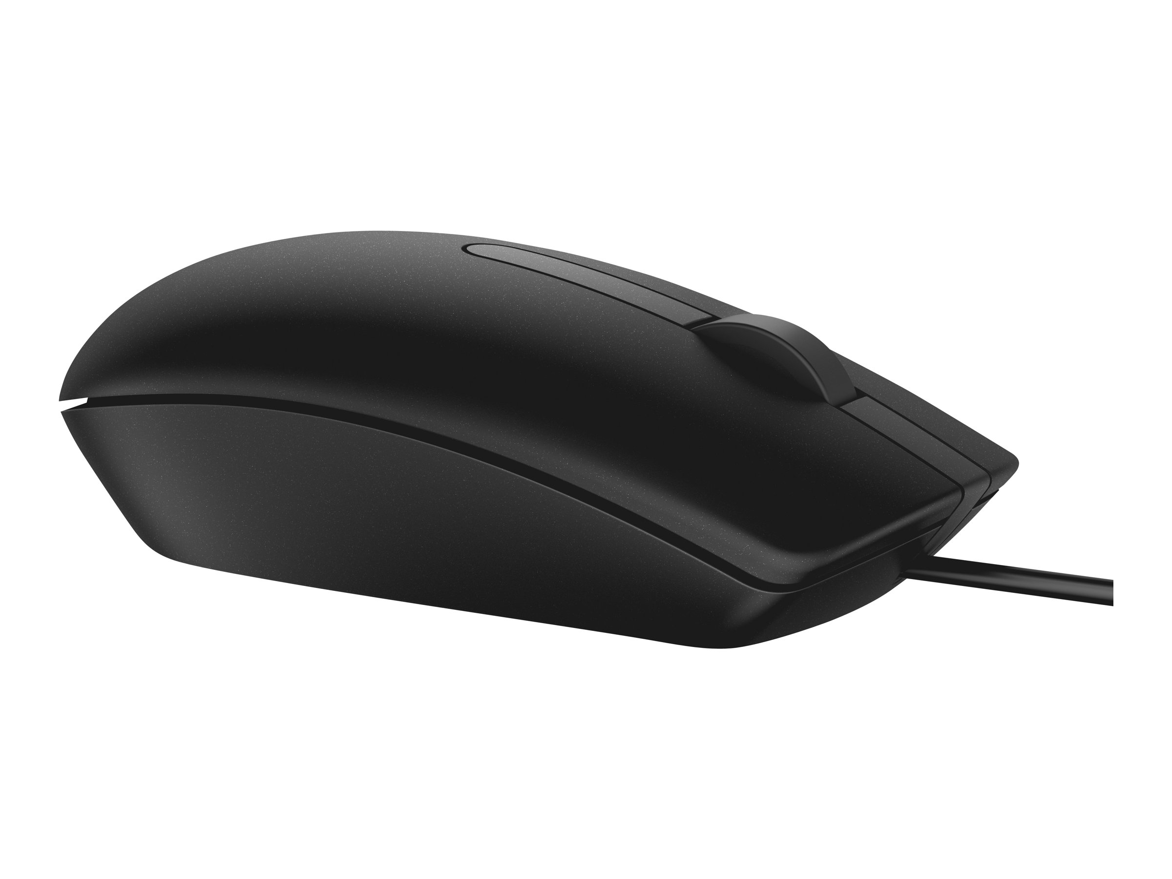 DELL MS116 mouse Ambidestro USB tipo A Ottico 1000 DPI