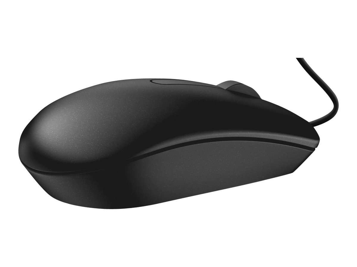 DELL MS116 mouse Ambidestro USB tipo A Ottico 1000 DPI