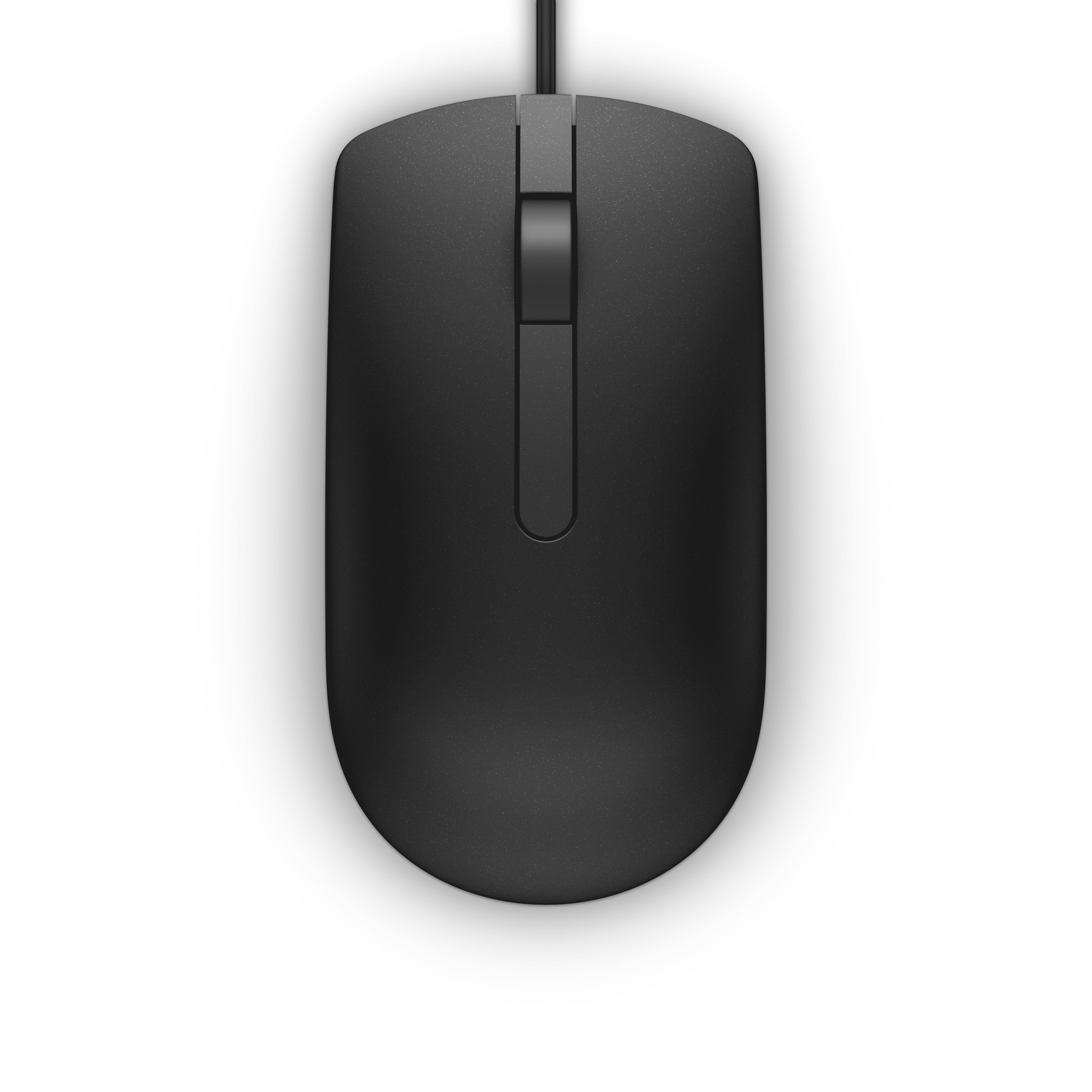 DELL MS116 mouse Ambidestro USB tipo A Ottico 1000 DPI