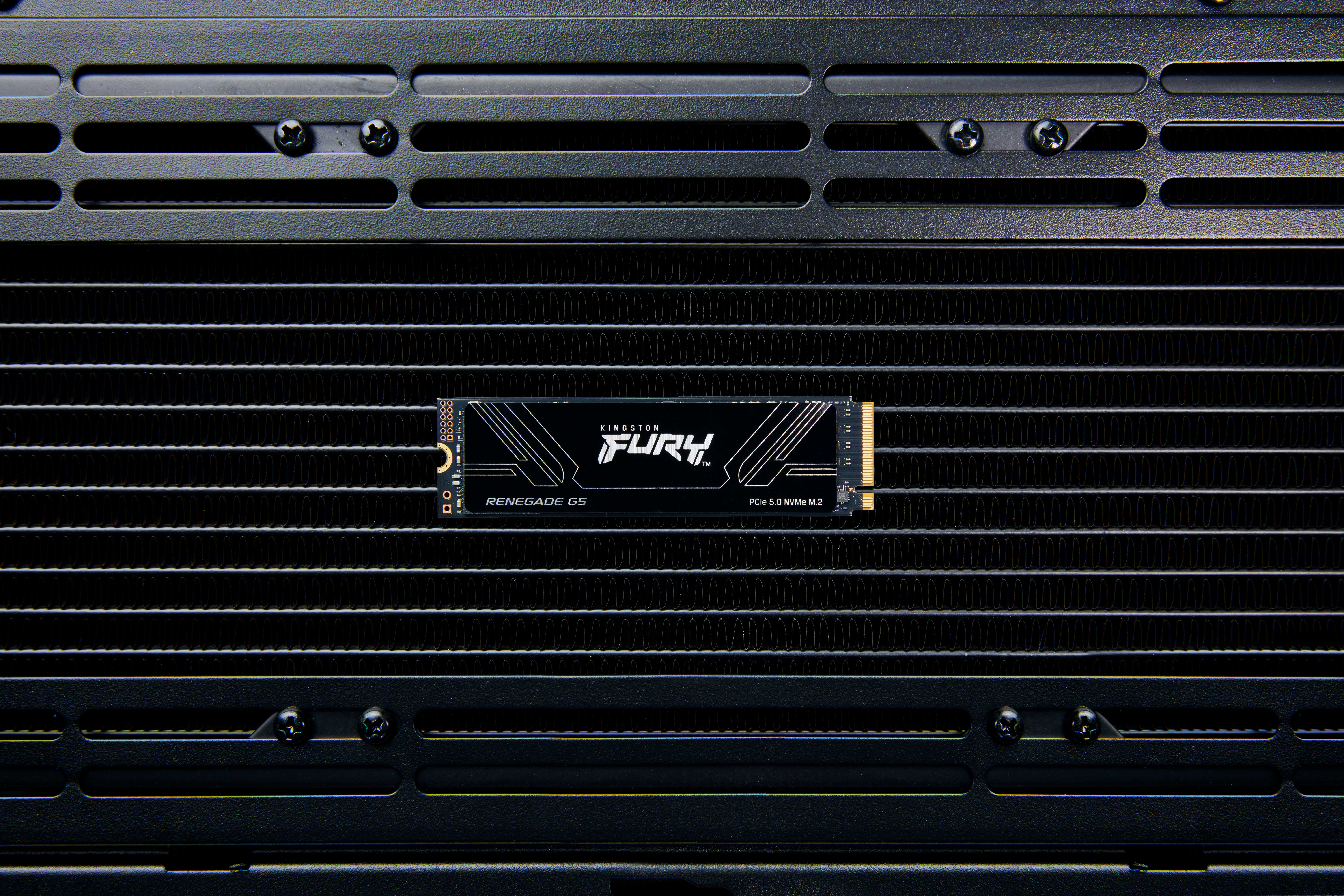 Kingston Technology 4T FURY RENEGADE G5 M.2 2280 NVMe SSD