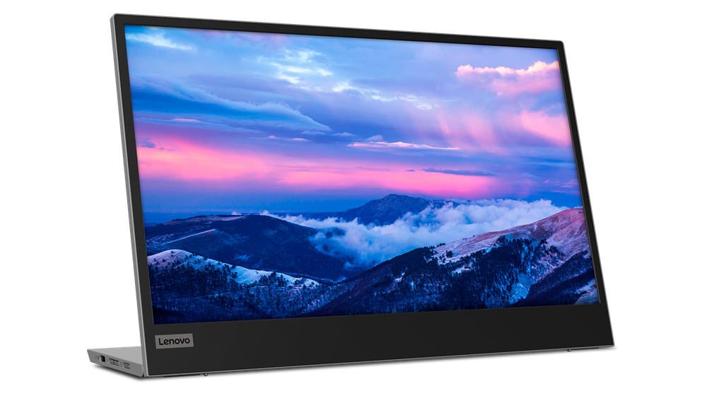 Lenovo L152 - LED-Monitor - 40.6 cm (16) (15.6 sichtbar)