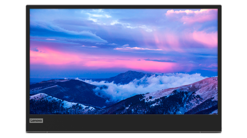 Lenovo L152 - LED-Monitor - 40.6 cm (16) (15.6 sichtbar)