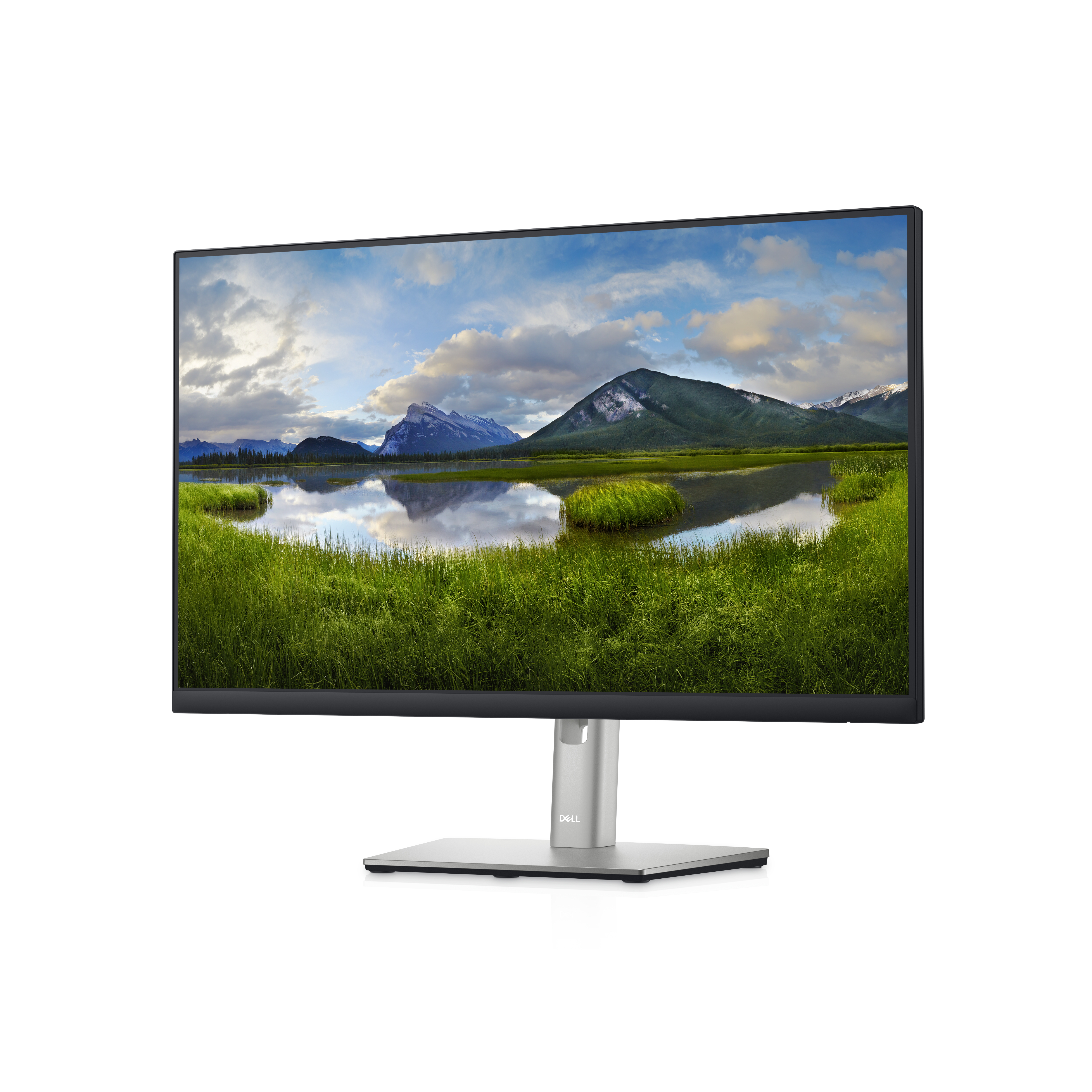 Dell P2422HE - LED-Monitor - 60.47 cm (24) - 1920 x 1080 Full HD (1080p)