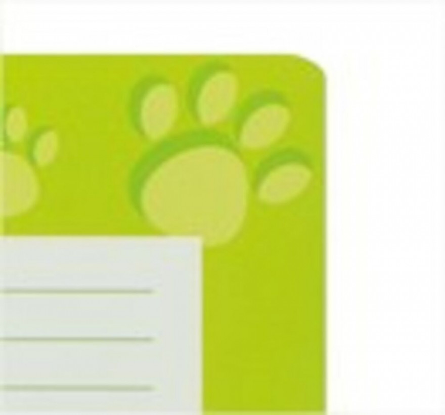 Oxford 100050400 cuaderno y block A4 Verde