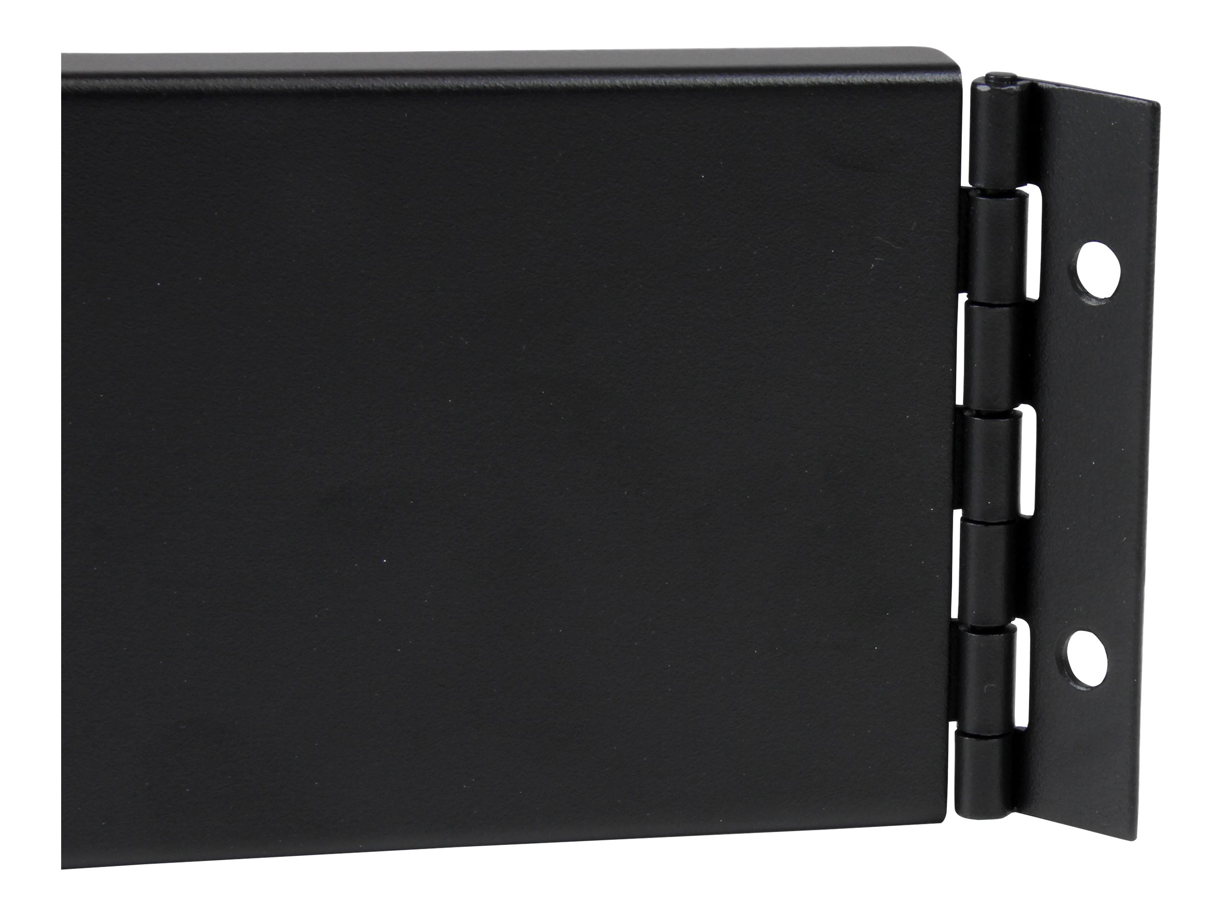 StarTech.com 2U Hinged Solid Blank Rack Panel
