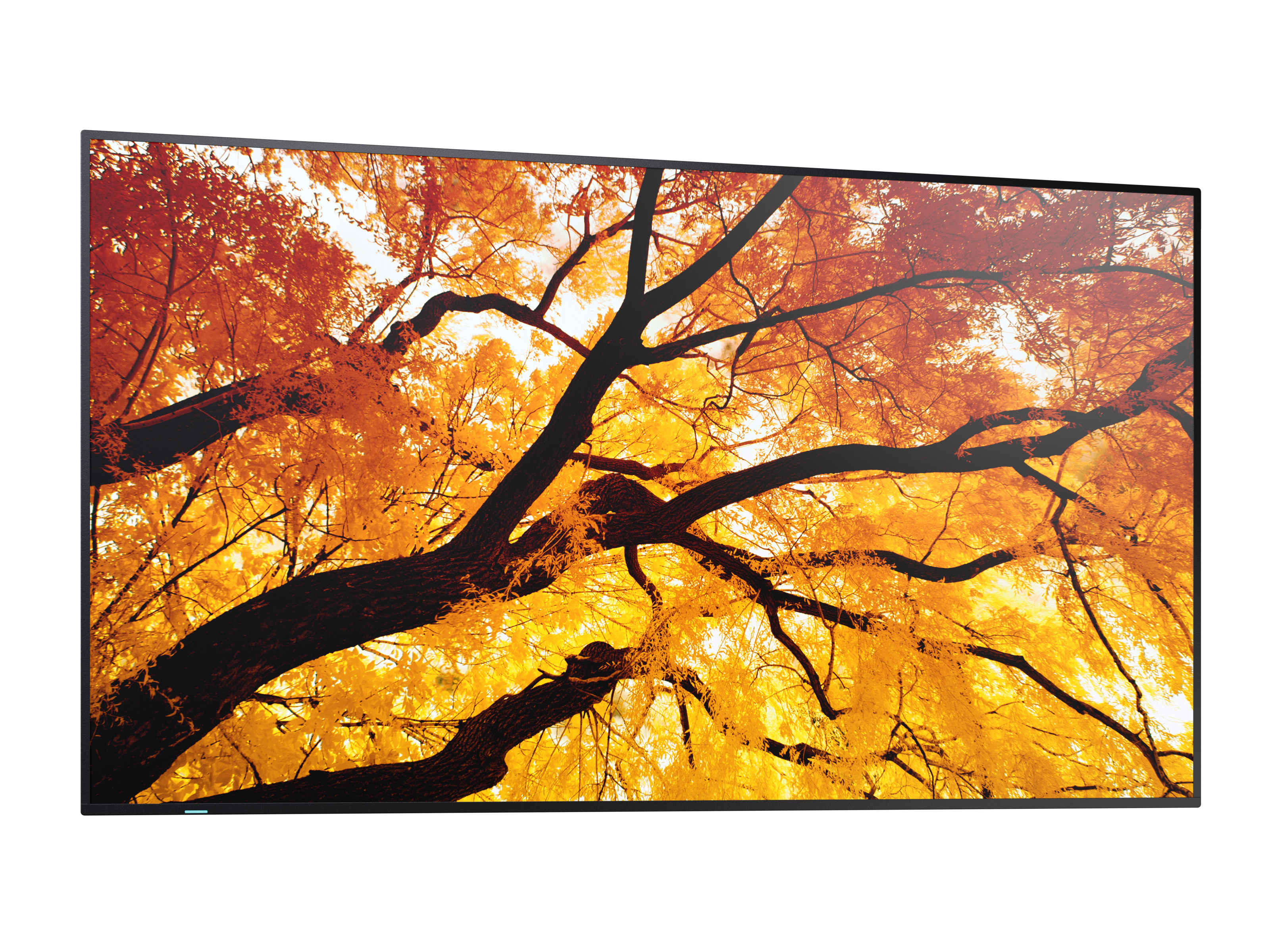 Sharp MultiSync M322 �cran plat de signalisation num�rique 81,3 cm (32) LCD 550 cd/m� Full HD Noir