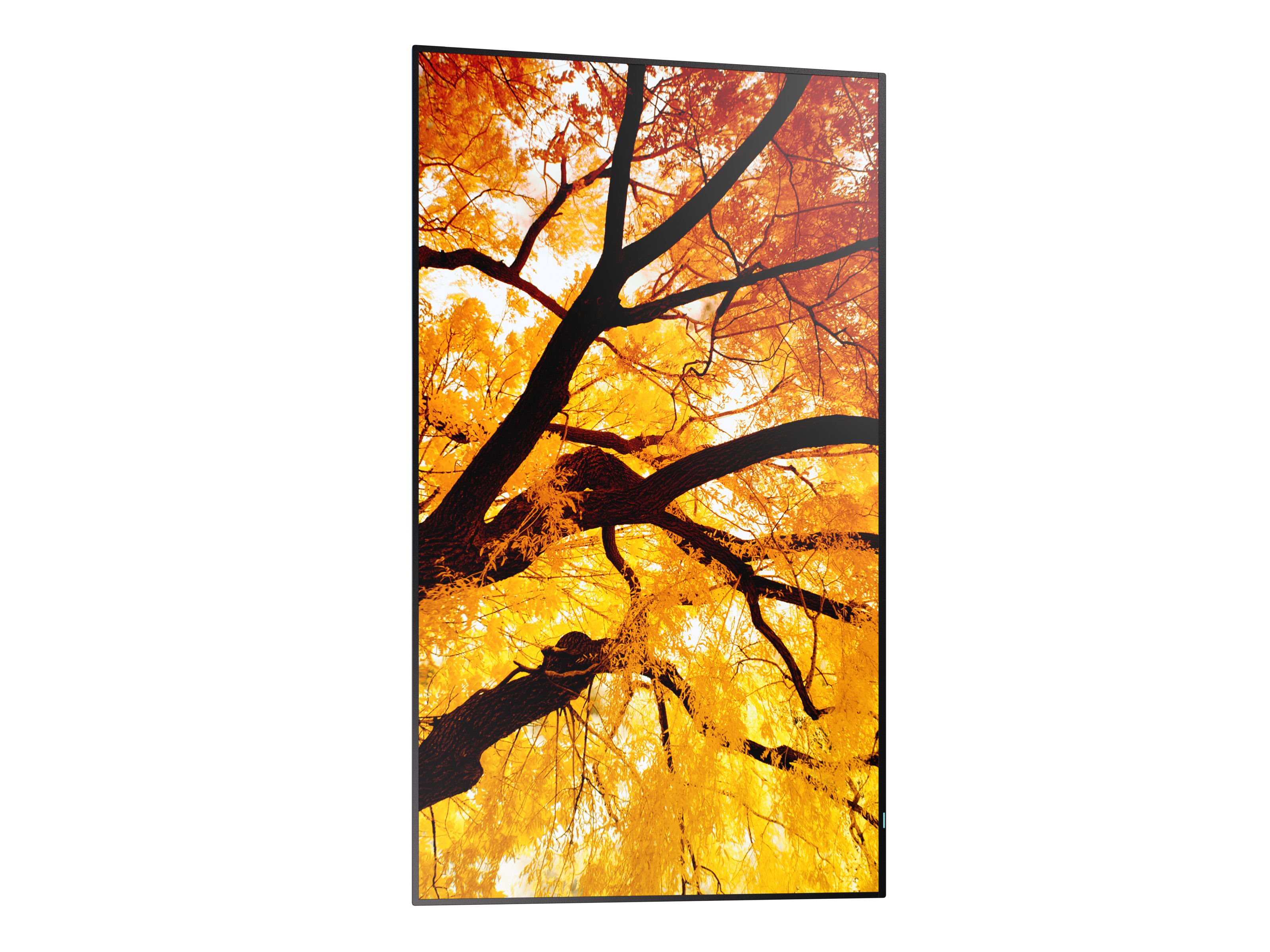 Sharp MultiSync M322 �cran plat de signalisation num�rique 81,3 cm (32) LCD 550 cd/m� Full HD Noir