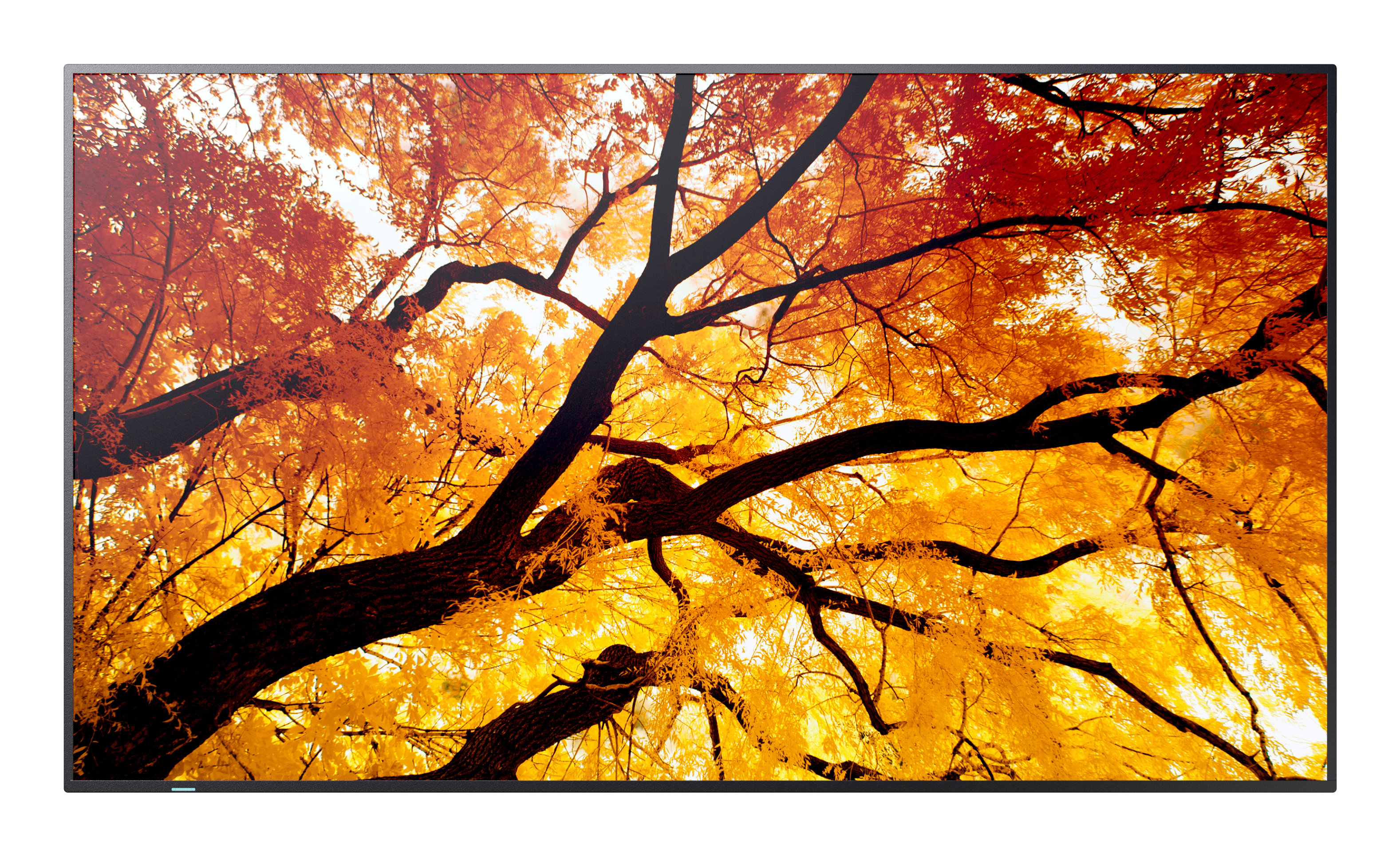 Sharp MultiSync M322 �cran plat de signalisation num�rique 81,3 cm (32) LCD 550 cd/m� Full HD Noir