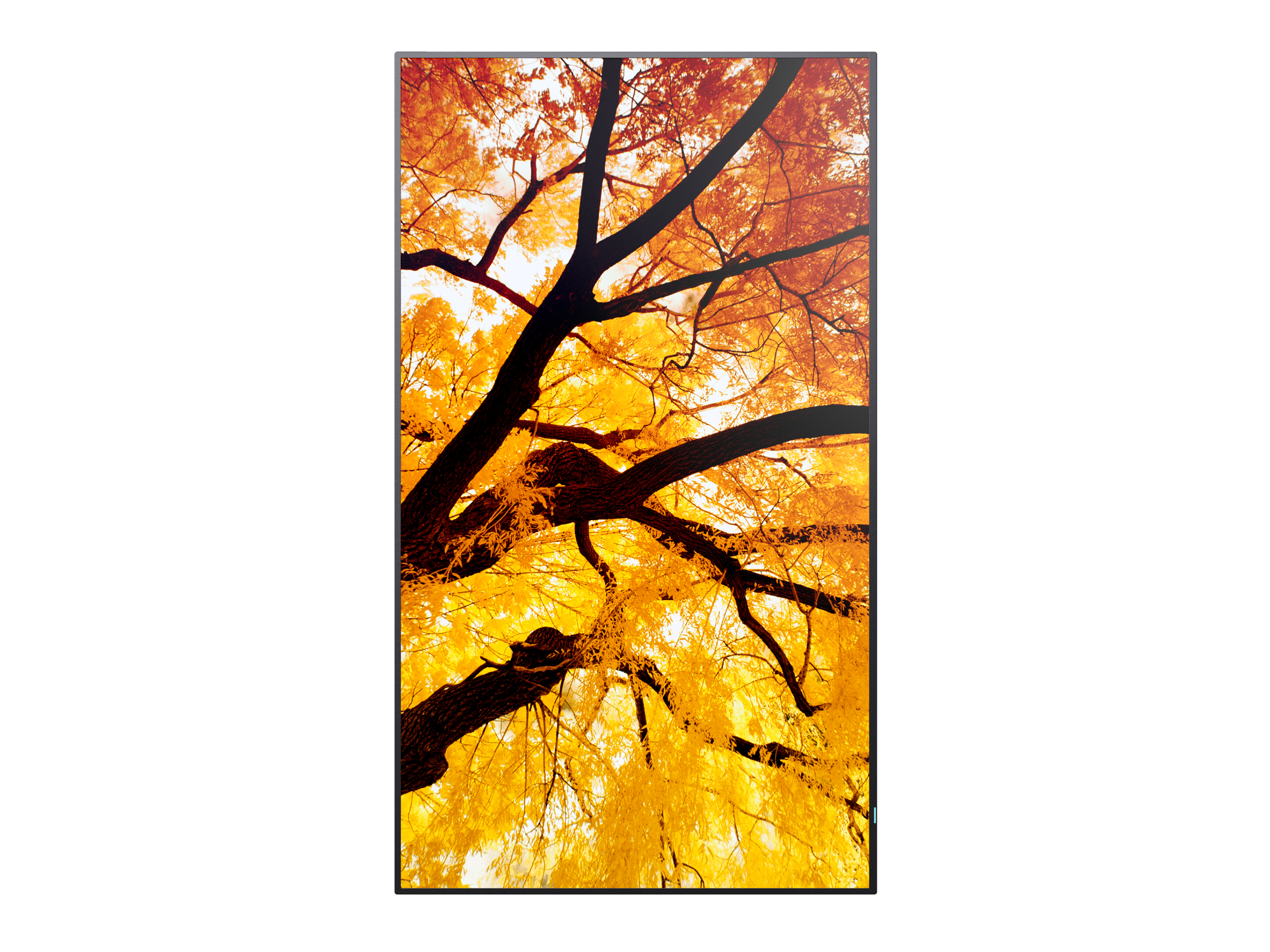 Sharp MultiSync M322 �cran plat de signalisation num�rique 81,3 cm (32) LCD 550 cd/m� Full HD Noir