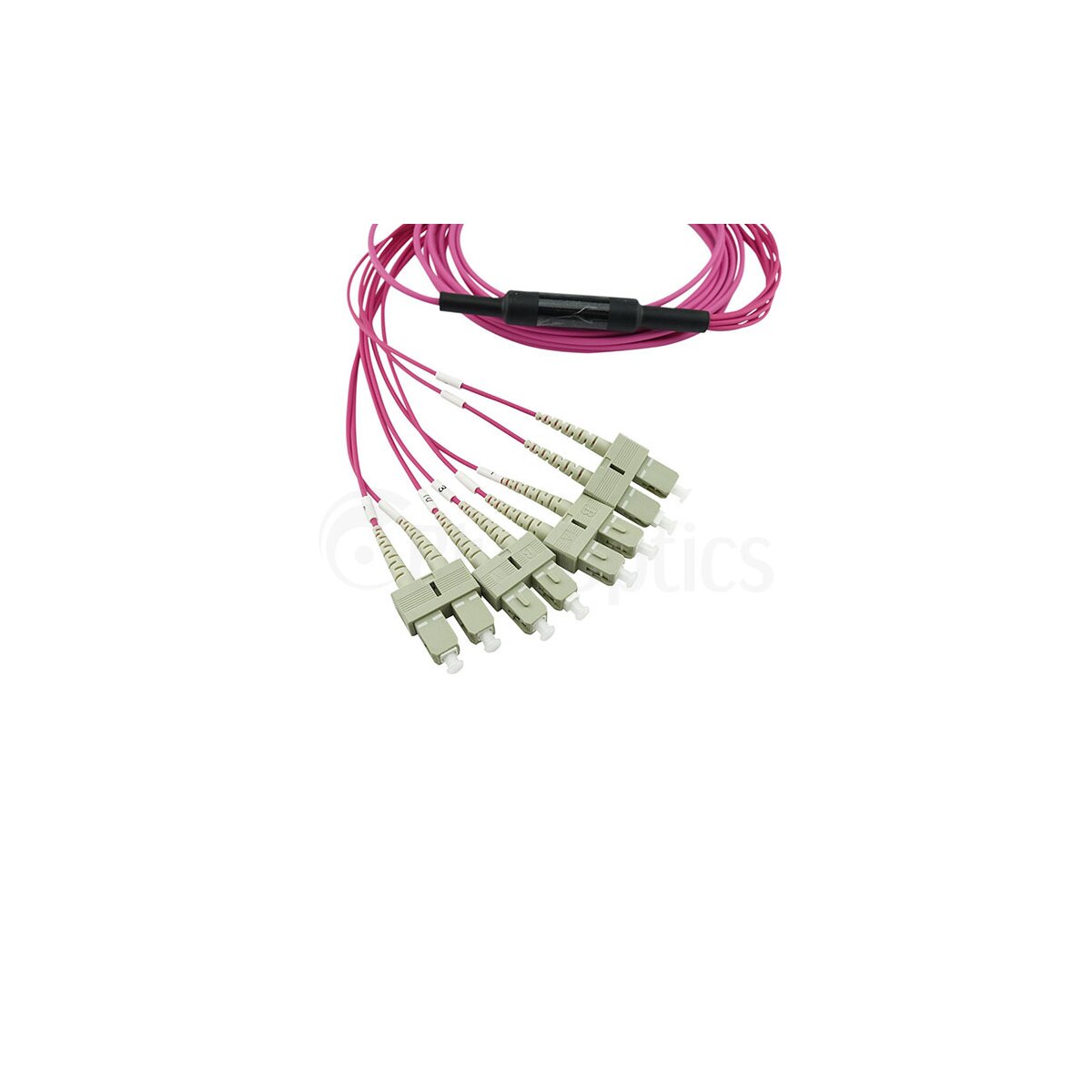 BlueOptics SFP6142FU5MKB fibre optic cable 5 m MTP 4x SC OM4 Purple