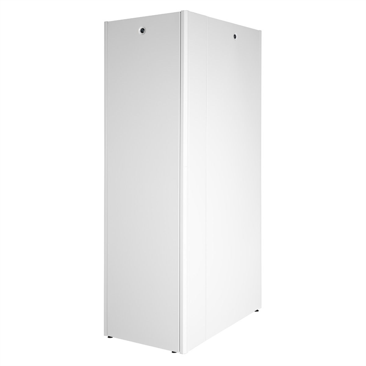 ROLINE Basic - Schrank Netzwerkschrank - Glas T�r, 600x1000 WxD - RAL 7035, Hellgrau - 42HE - 48.3 cm (19)