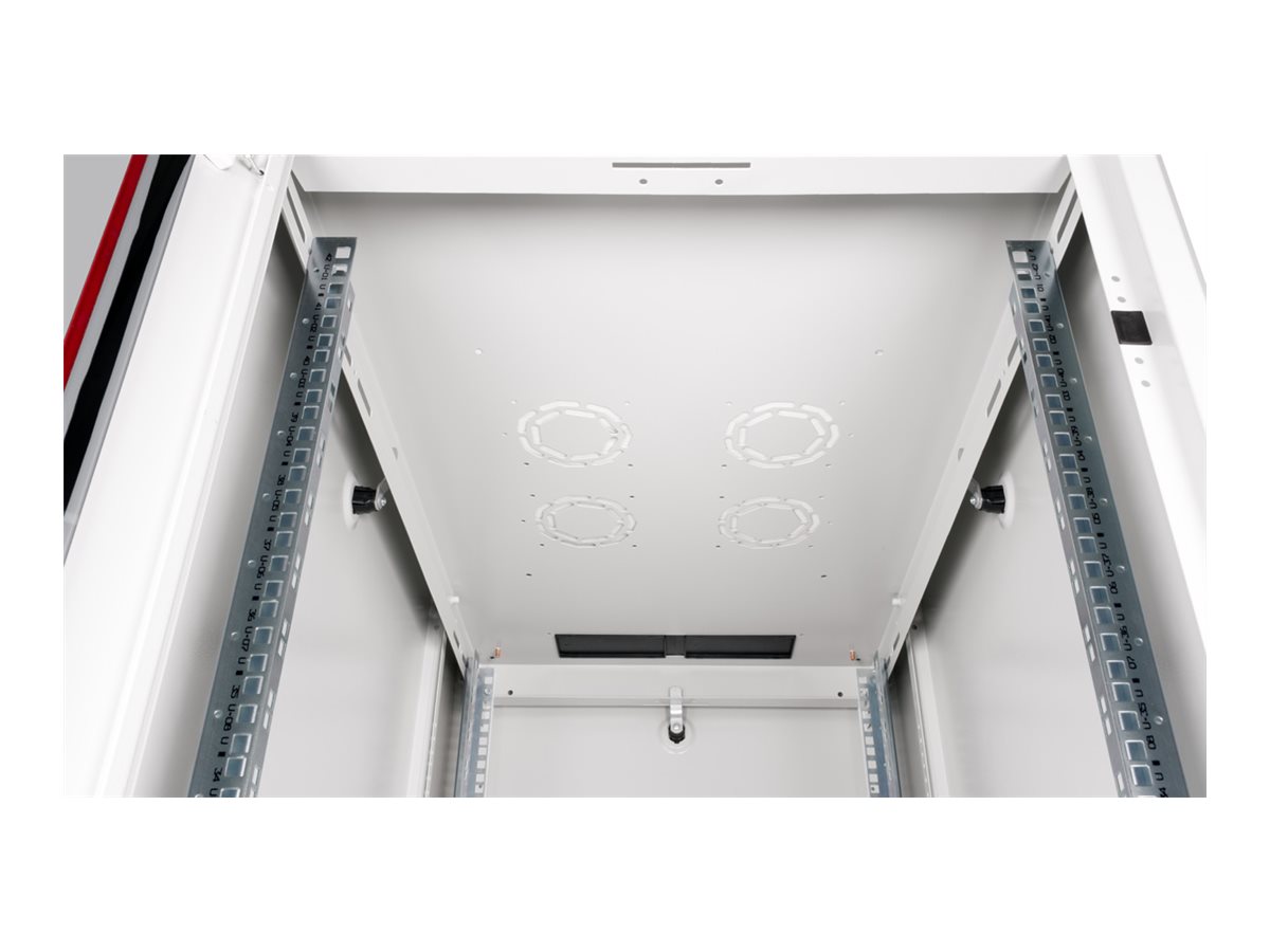 ROLINE Basic - Schrank Netzwerkschrank - Glas T�r, 600x1000 WxD - RAL 7035, Hellgrau - 42HE - 48.3 cm (19)