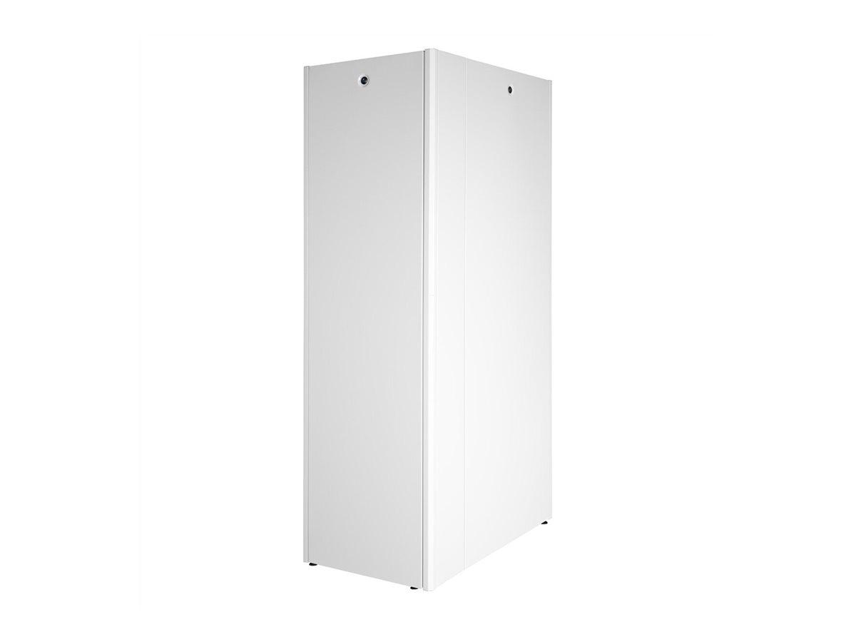 ROLINE Basic - Schrank Netzwerkschrank - Glas T�r, 600x1000 WxD - RAL 7035, Hellgrau - 42HE - 48.3 cm (19)