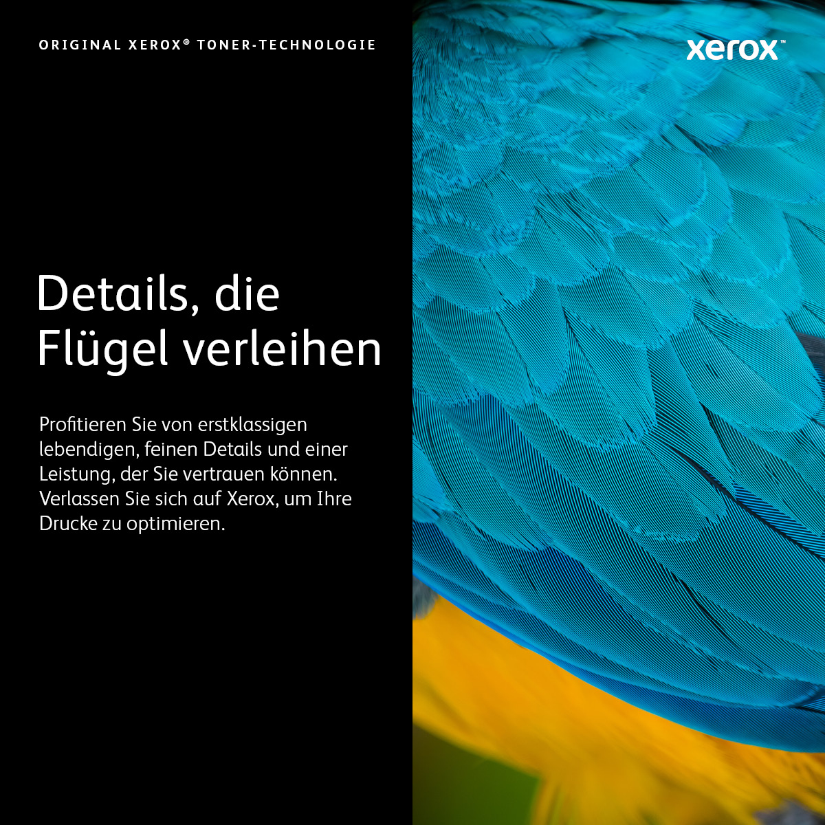 Xerox 006R04393 - Toner magenta - fr C230, C230/DNI, C230V_DNIUK, C235, C235/DNI, C235V_DNIUK