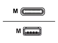 Poly USB-Kabel - USB (M) zu 24 pin USB-C (M)