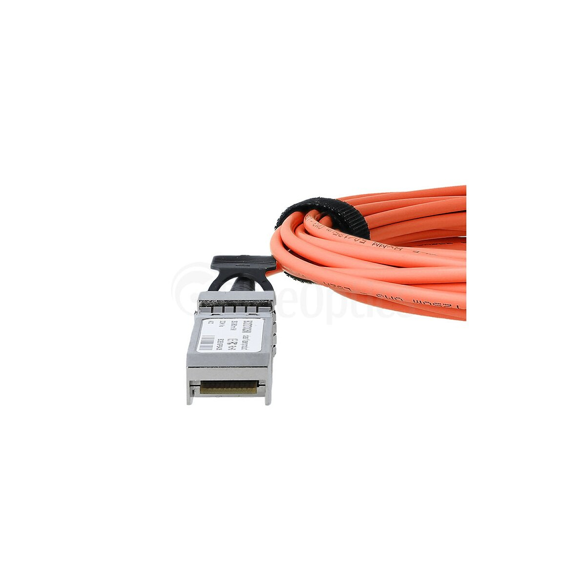BlueOptics XS+DA0002-BL cable infiniBanc 2 m SFP28 Negro