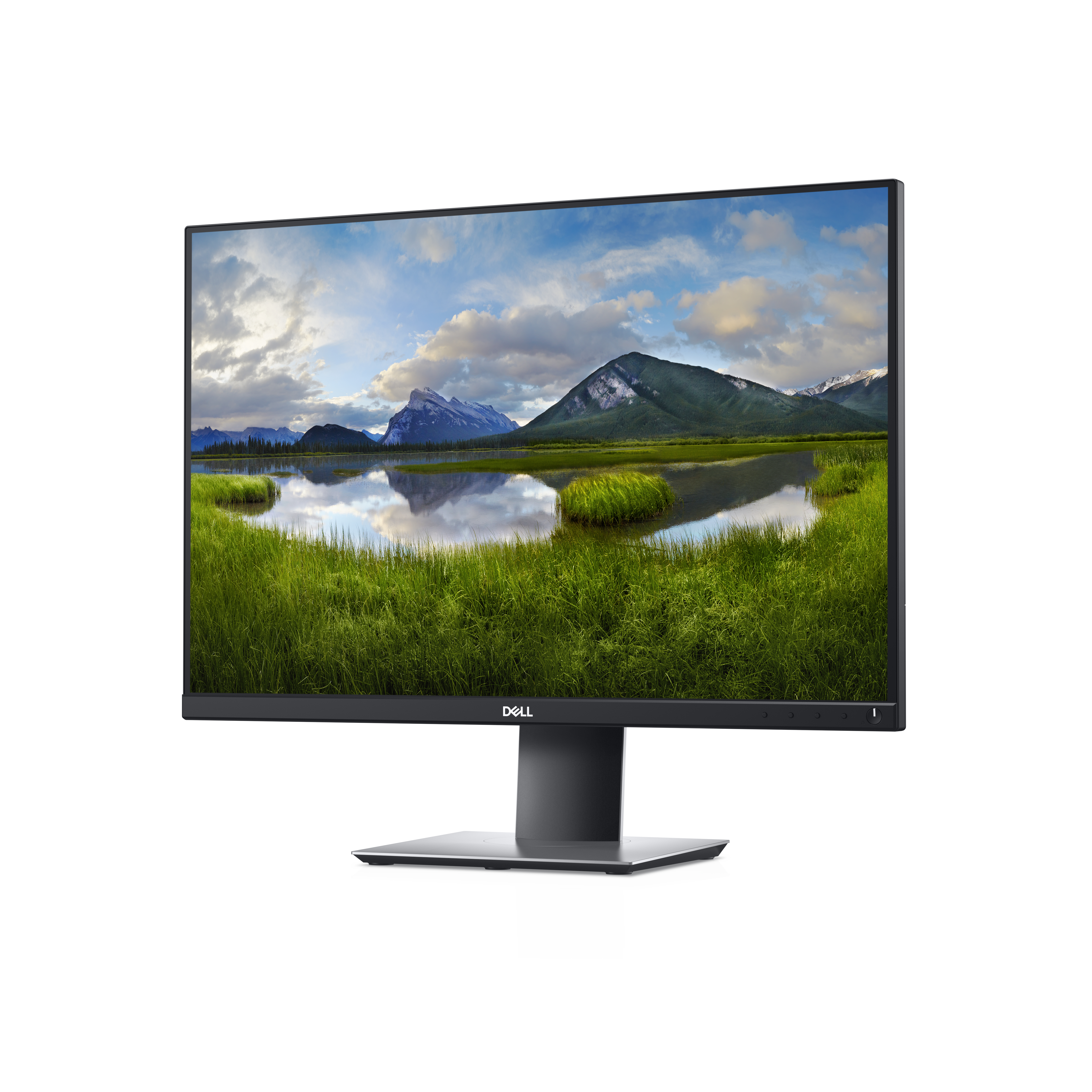 DELL P Series P2421 pantalla para PC 61,2 cm (24.1) 1920 x 1200 Pixeles WUXGA LCD Negro