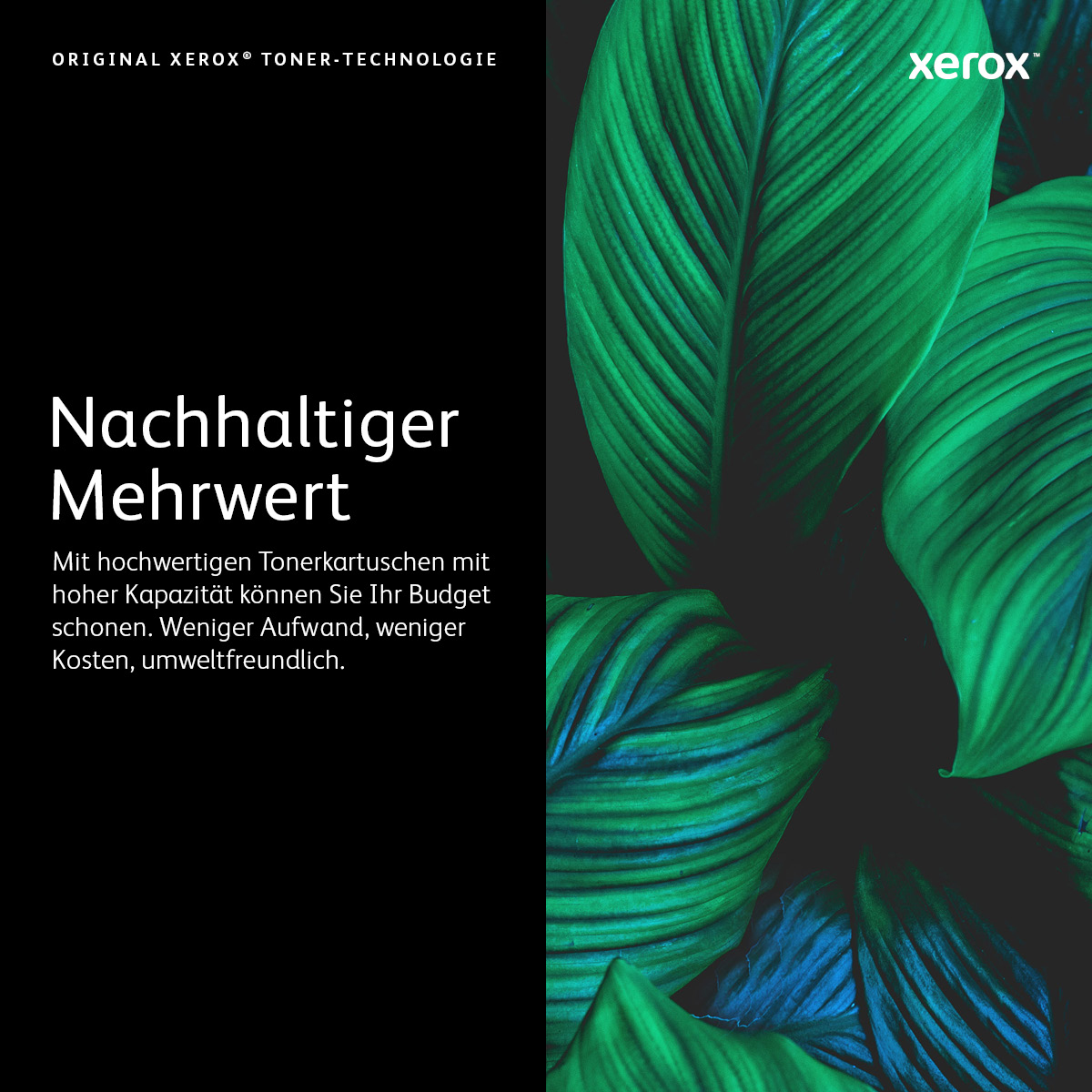 Xerox 006R90357 - Toner schwarz - f�r Nuvera 100, 120, 144