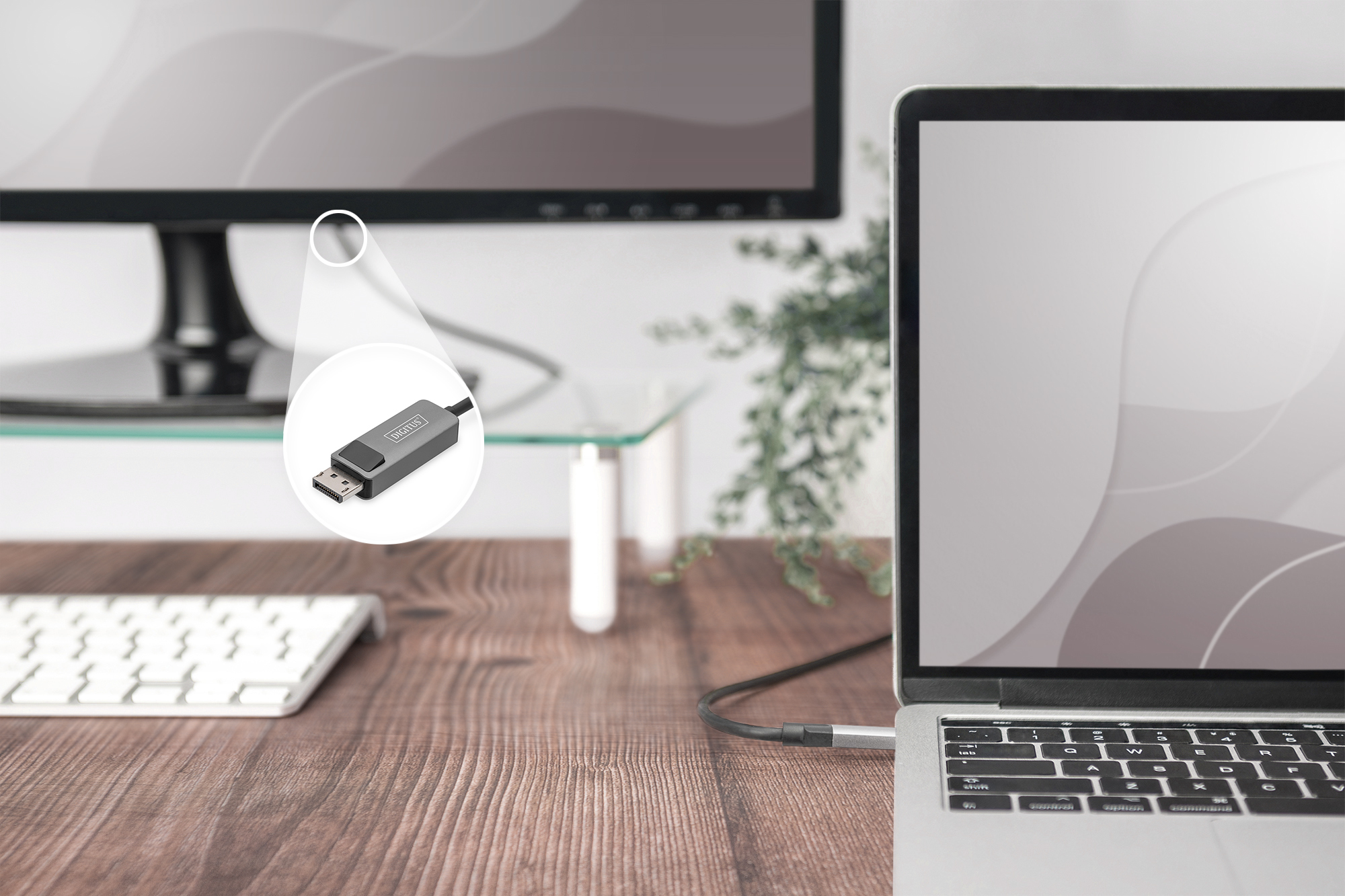 Digitus Cble adaptateur USB type C vers DisplayPort bidirectionnel