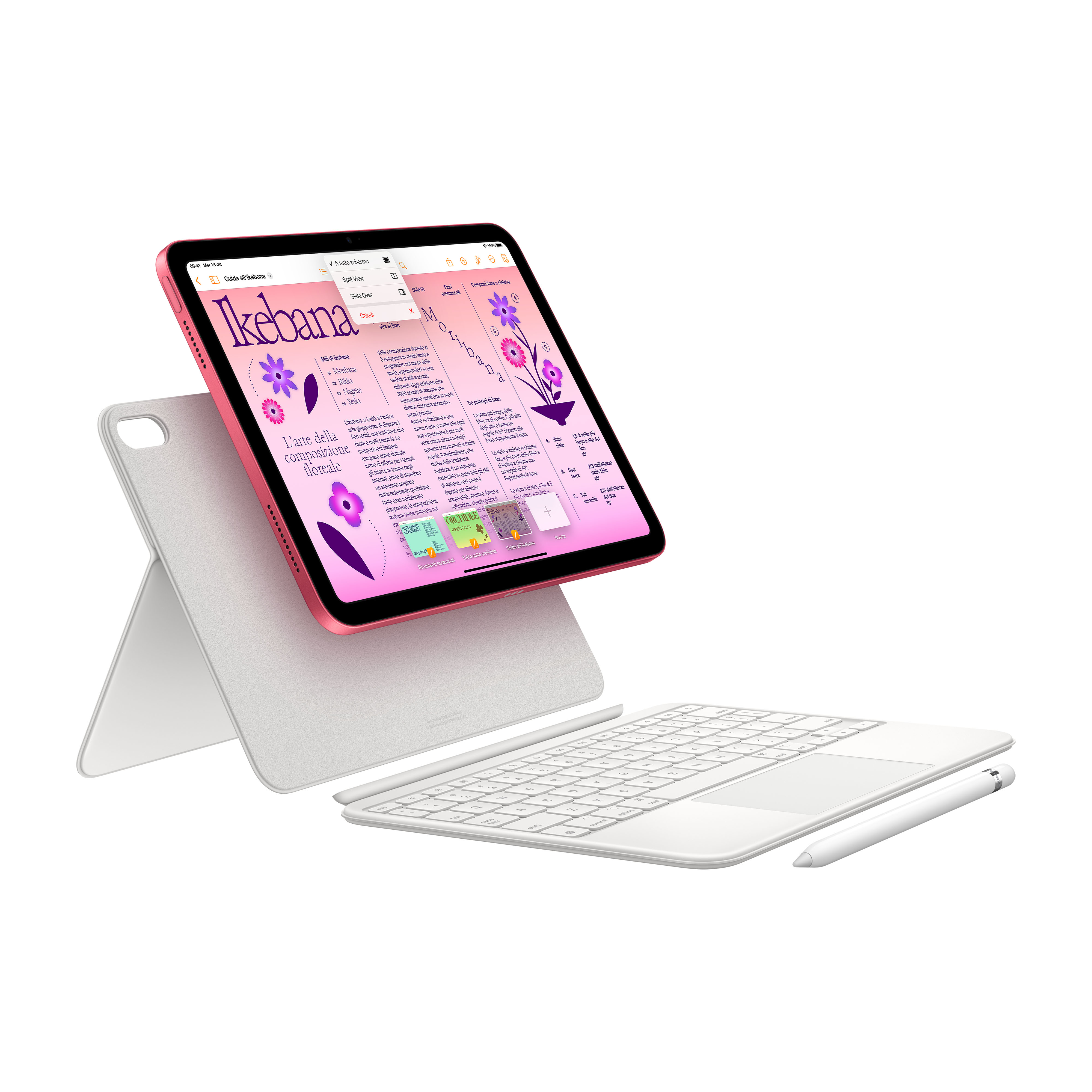 Apple iPad 256 GB 27,7 cm (10.9) Wi-Fi 6 (802.11ax) iPadOS 16 Azul