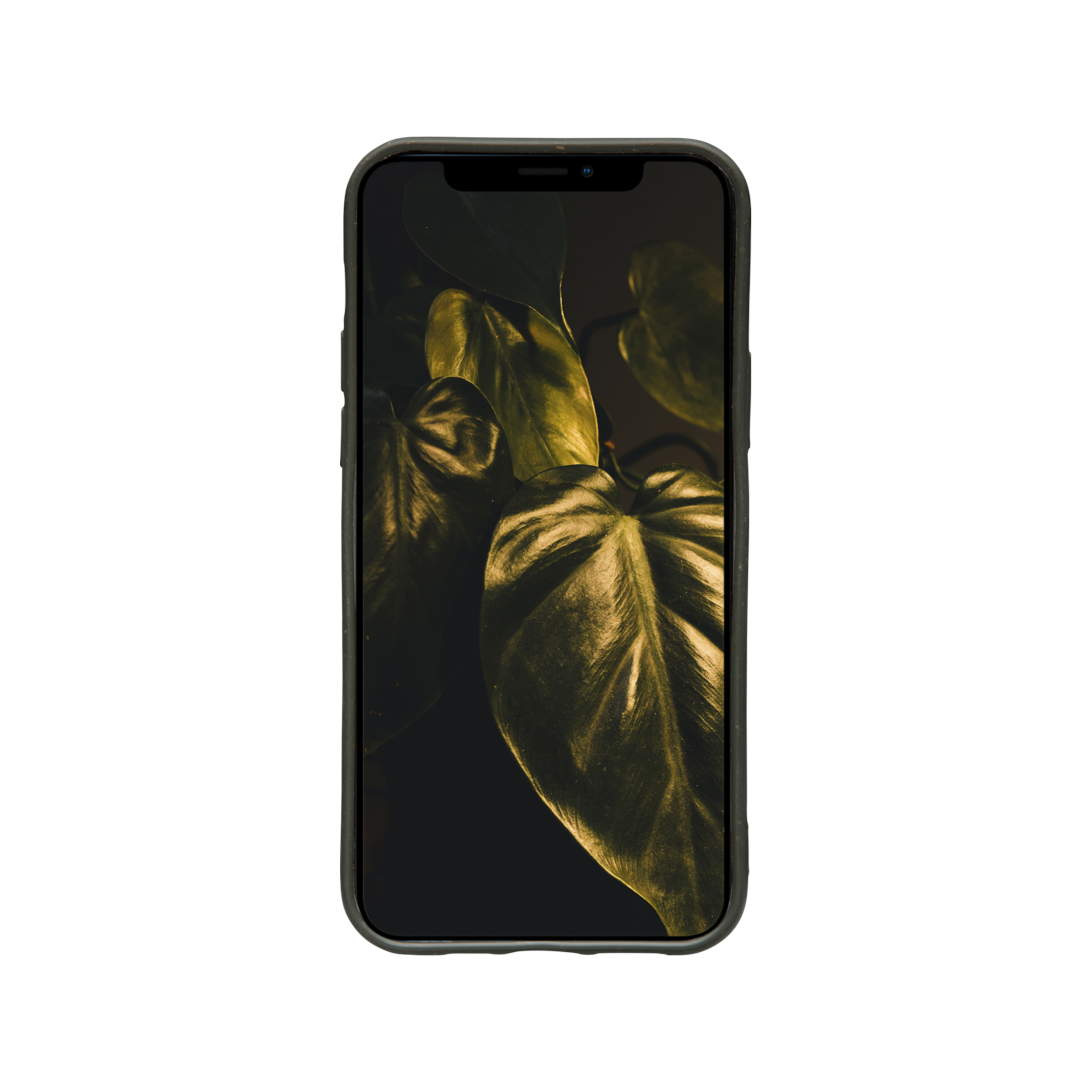 dbramante1928 Grenen - Cover - Apple - iPhone 12/12 Pro - 15,5 cm (6.1) - Olive