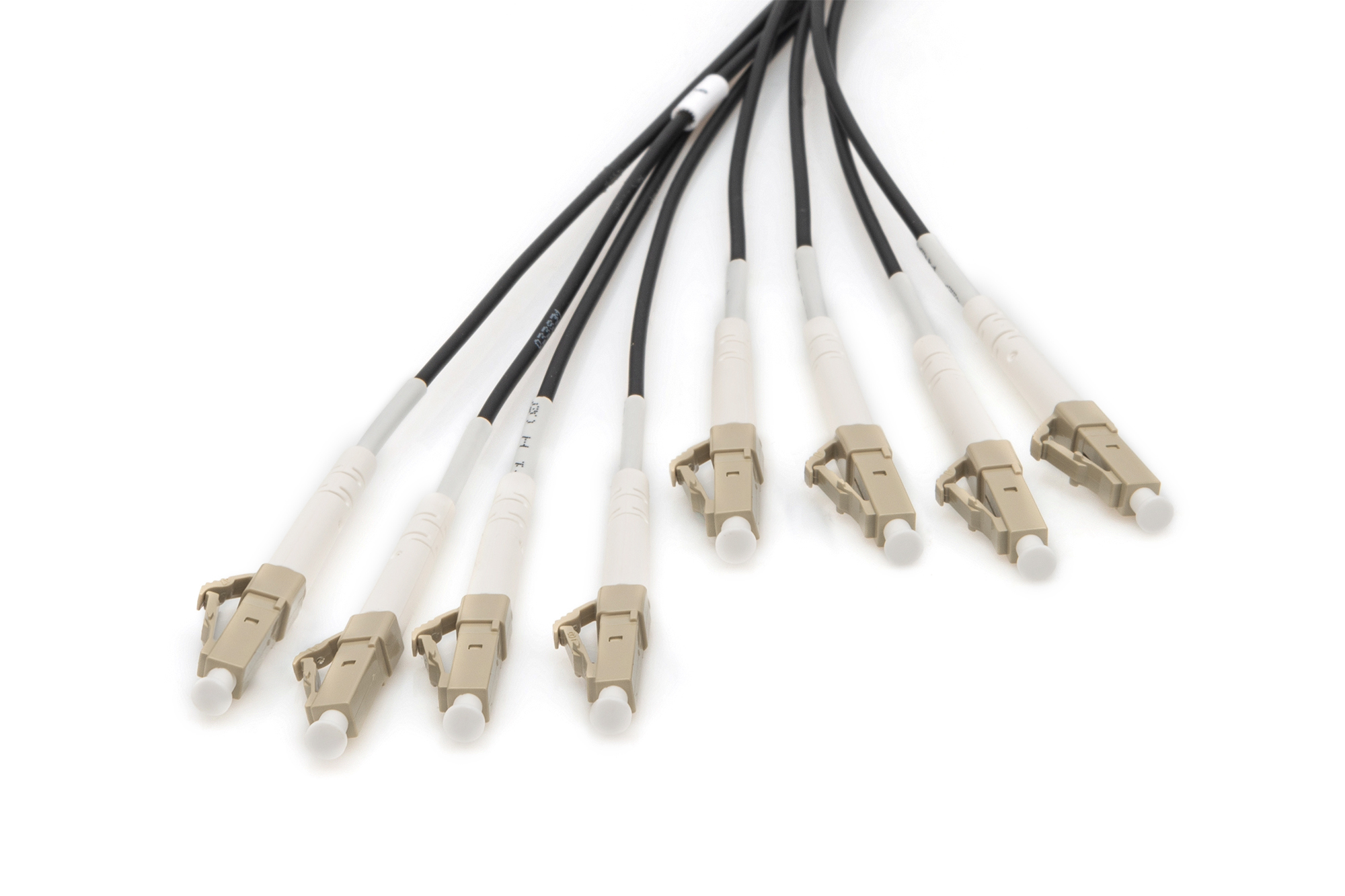 Digitus Cavo breakout universale in fibra ottica dotato di terminali, Multimode OM4, 8 fibre, LC/UPC - LC/UPC