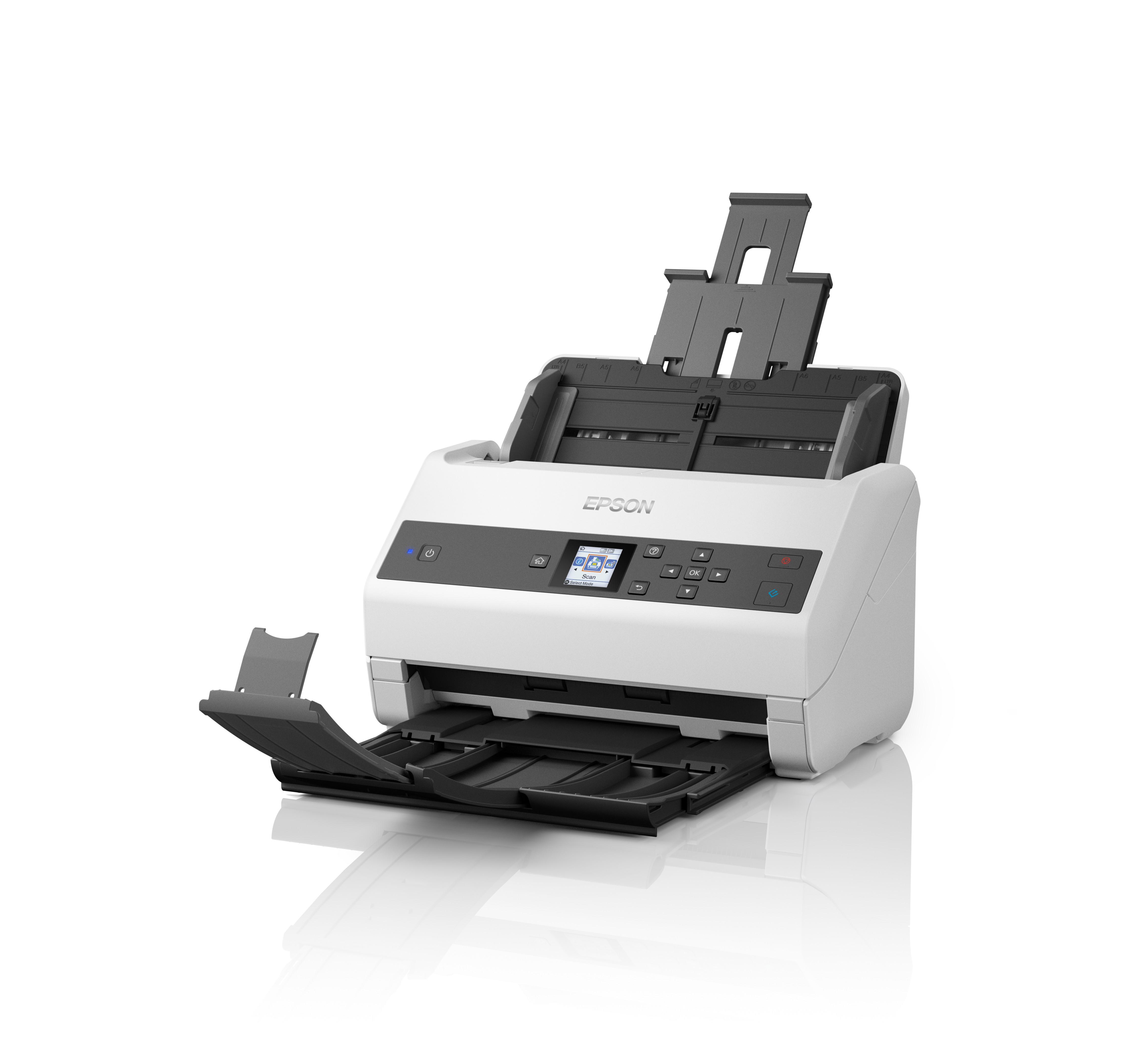 Epson DS-C490 - scanner à feuilles - modèle bureau - USB 2.0 (B11B271401)