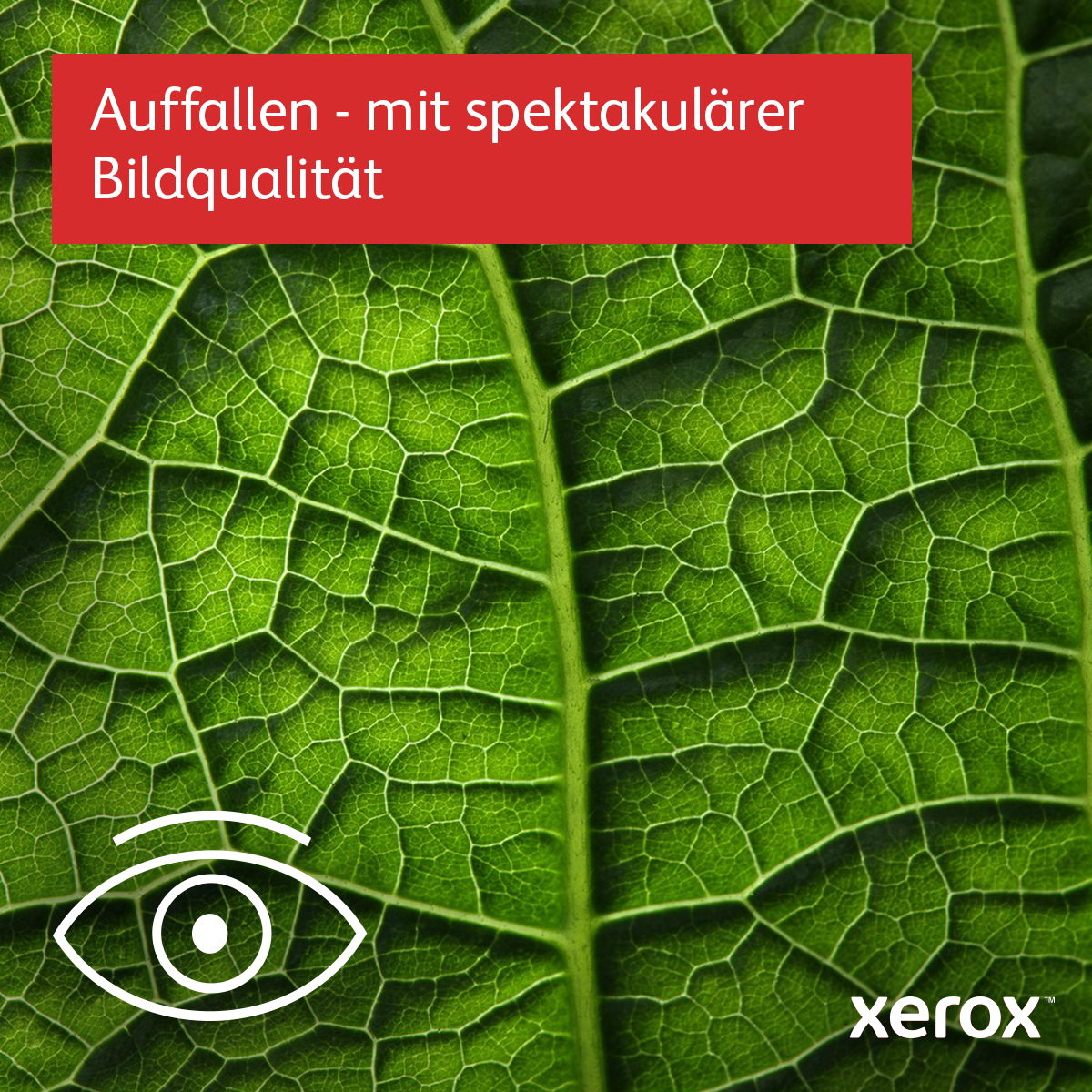 Xerox VersaLink B7125V - Laser - Monodruck - 1200 x 1200 DPI - A3 - Direktdruck - Blau - Wei�