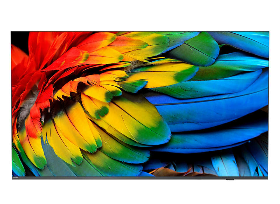 Philips 50HFL6214U - 126 cm (50) Diagonalklasse Professional MediaSuite LCD-TV mit LED-Hintergrundbeleuchtung - Gesundheitswesen / Hotel - Smart TV - Android TV - 4K UHD (2160p)