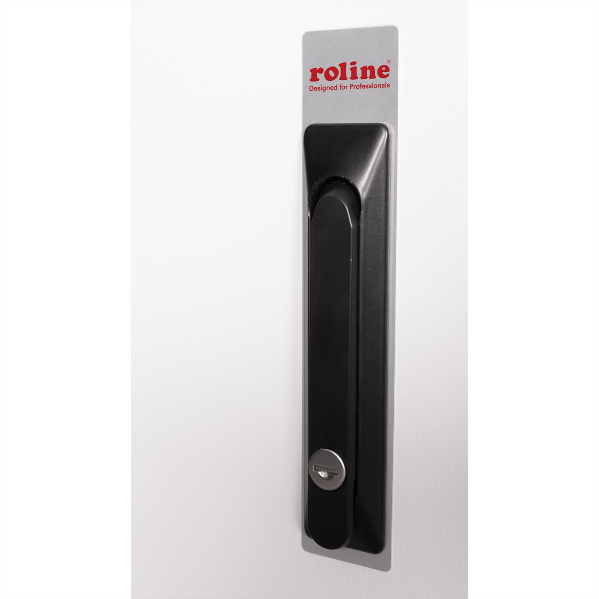 ROLINE Pro - Schrank Netzwerkschrank - au�en, 600 x 450 mm (B x T)